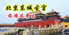 欧美大吊操逼射精视频中国北京-东城古宫旅游风景区
